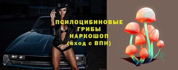 молекула духа Кукмор
