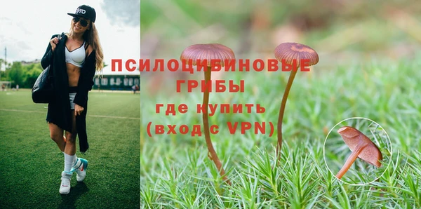 прущие крисы Кулебаки