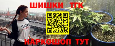 прущий лед Канаш