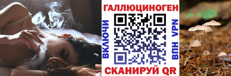 хочу   Тихвин  Галлюциногенные грибы Psilocybe 