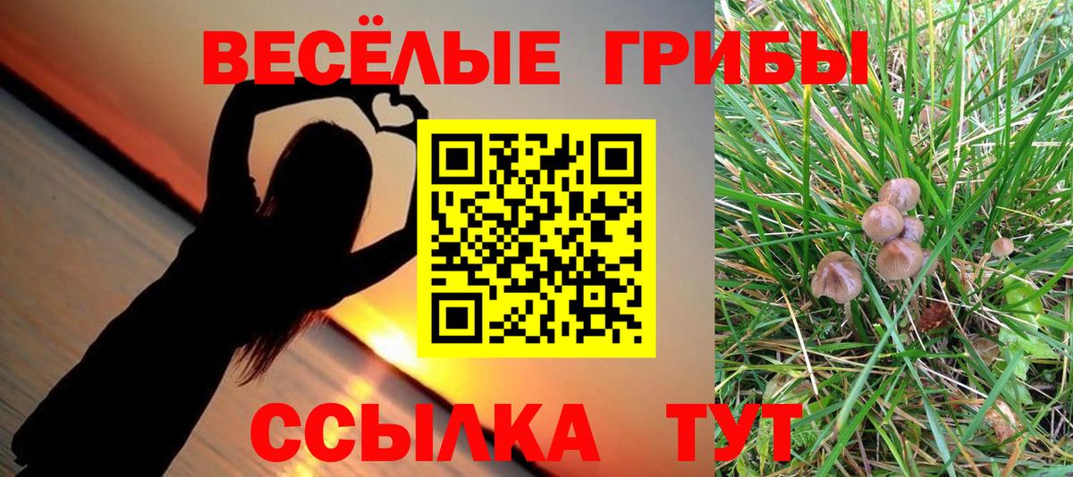 Тихвин  Галлюциногенные грибы мицелий  Вход с VPN 